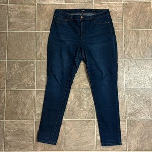 Blue Jones New York Essex Skinny Jeans 14